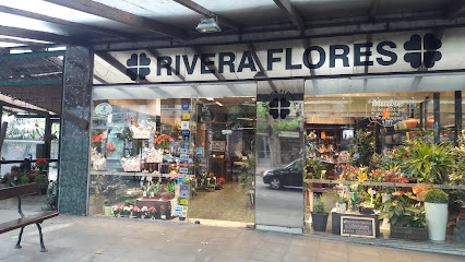 Rivera Flores: Venta de Arreglos Florales en Montevideo | Florister&iacute;a y Regalos